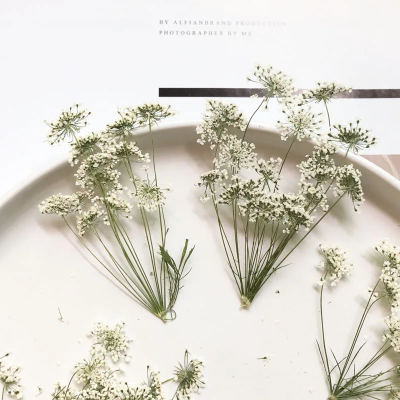 Craft Embellishments - 5–7 cm/12 Stück, kleine Schneeblumen mit