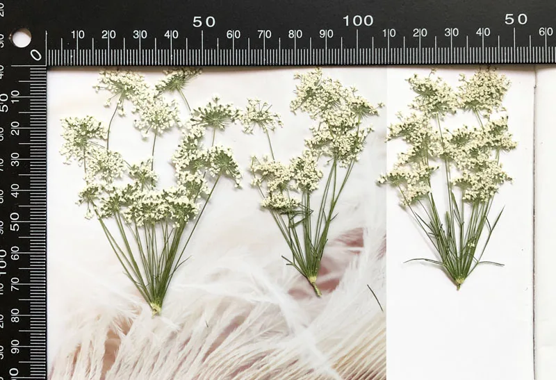 5–7 cm/12 Stück, kleine Schnee – Craft Embellishments Bewertung und Preis
