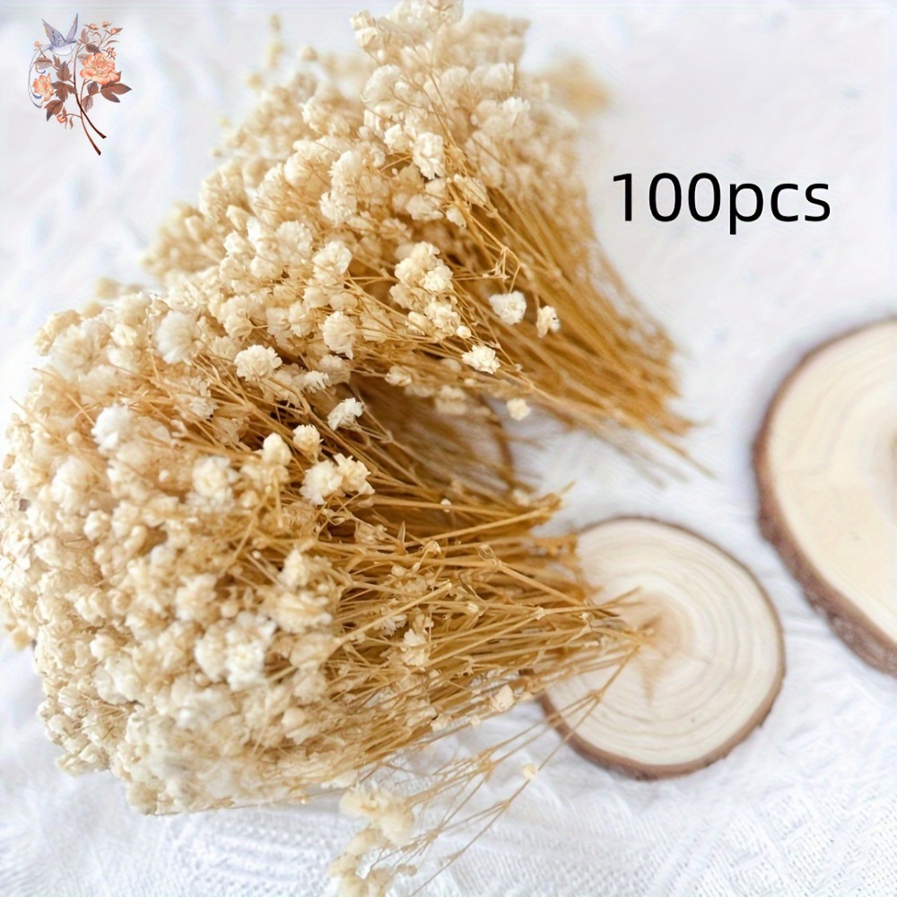 100 Stück Mini Getrocknete Sch – Embellish Craft Bewertung und Preis